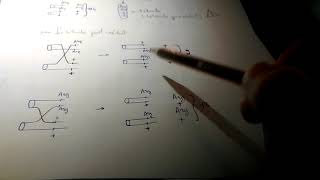 Exercice 1 de Génétique des haploïdes TD 1 [upl. by Ferriter]