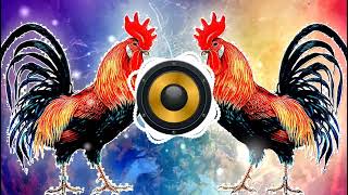 Murga Dance  Ku Ku Ku Song  🐓मुर्गा डान्स 🐓  Murga Dance Music  Murga song  Murga Dance Dj Song [upl. by Asyram]