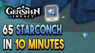 Starconch Locations  Fast and Efficient  Ascension Materials 【Genshin Impact】 [upl. by Aneleairam]