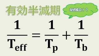 有効半減期の基本解説【生物】【放射線取扱主任者試験】 [upl. by Arriaet]