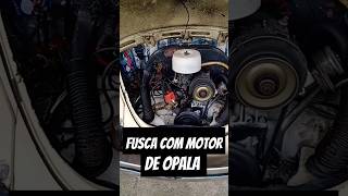 Fusca 1300 bebe mais que opala 😯 automobile shortvideo fuscaratlook fuscaclub fuscao fusca [upl. by Ellohcin557]