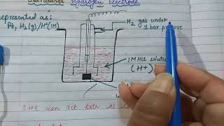 standard hydrogen electrode [upl. by Odlavu]