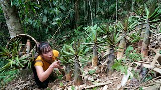 Single Mom Harvesting bamboo shoots to preserve and sell at the market  gardening with my daughter [upl. by Eniamor]