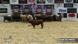 SJR Diamond Fox Shown by Kelby I Phillips 2022 NRCHA SBF Open Herd Work Finals [upl. by Nosnar]