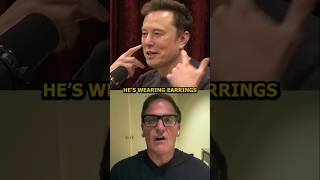 Rogan And Elon Roasting Mark Cuban [upl. by Ames453]