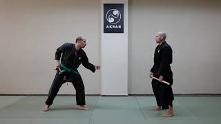 Hanbo jutsu Chi no kata with short stick [upl. by Ilojne]