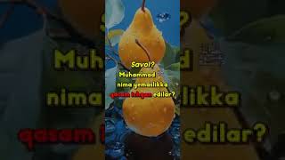 Savol javoblar abdullah abdullohdomla music reels youtube youtubeshorts [upl. by Notsgnal]