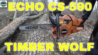 Echo CS590 Timber Wolf Review After 2 Years 25 [upl. by Gereron]