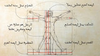 Vitruvian Man  Proportions [upl. by Latsyek]