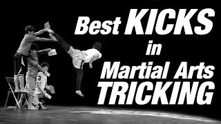 Best KICKS in Martial Arts TRICKING [upl. by Ecniuq]