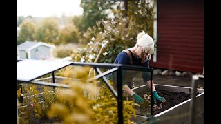 Sensommar i trädgården [upl. by Shabbir827]