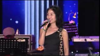 민해경  어느 소녀의 사랑이야기 外 2곡 20140907 [upl. by Champagne]