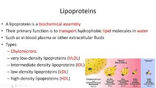 Lipids Classification  Lecture 7c [upl. by Akiehsat]