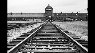 Die Geschichte von Auschwitz Doku Deutsch [upl. by Harwilll]