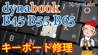 セルフリペア dynabook B45 B55 B65 キーボード修理 パンタグラフ／キートップ 自力で治す [upl. by Royall942]