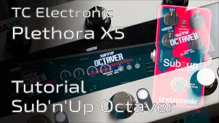 TC Electronic SUBNUP Octaver TonePrint Editor Tutorial  Deep Dive [upl. by Naelopan871]