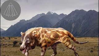 Andrewsarchus the Giant Hoofed Predator [upl. by Nylzaj]