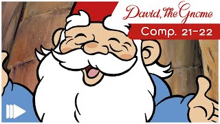 David the Gnome  2122  Full Episodes  Compilations [upl. by Akselaw797]