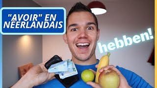 le verbe avoir en néerlandais 🇳🇱🇧🇪  hebben en néerlandais  cours de néerlandais gratuit [upl. by Cherianne]