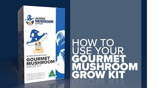 How to use your Aussie Mushrooms EasytoUse Gourmet Mushroom Grow Kits Educational Version [upl. by Kirsti357]