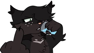 hollyleaf doesnt exactly hate ashfur [upl. by Ceil]