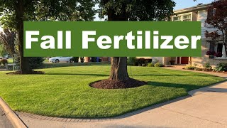 FALL FERTILIZER for a THICK GREEN LAWN [upl. by Maccarthy]