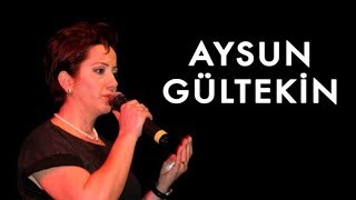 Aysun Gültekin  Erzincana Girdim Ne Güzel Bağlar Uzun Hava [upl. by Ojyram]