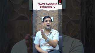 Frame Tagging Protocols in Switching Networks An Overview ccna ccnp switching [upl. by Iyre116]