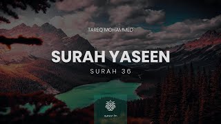 Surah Yaseen  QariTareqMohammed  سورة يس  القارئ طارق محمد [upl. by Aeneg]