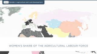 Film 1 Gender in Agriculture and Rural Development [upl. by Pulcheria393]