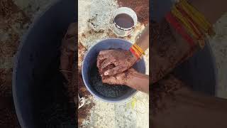 Best method of cocopeat prepared home gardening viralshorts madehomegardening cocopeat [upl. by Kendell137]