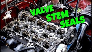 The ULTIMATE Guide To Replacing Valve Stem Seals The Easy Way [upl. by Ahtrim]