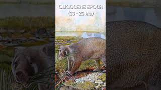 SERIOUSLY What is an EPOCH  Geologic Time Pt 4  Beginners Guide to Palaeontology [upl. by Sopher]