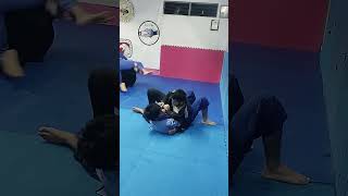 BRAKI DOJANG  Equipo nocturno de Jiu Jitsu 29may24 1 [upl. by Eletnahc]