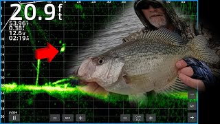 PRESPAWN LIVESCOPE CRAPPIE FISHING [upl. by Kleon]