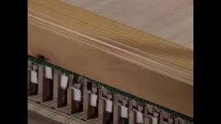 How does a harpsichord work [upl. by Cnut348]