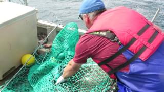 Setting cod pots near Fogo Island [upl. by Jessalin838]