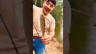 Catching rainbow trout in Texas fishing fish rainbowtrout catfish trout goldentrout shorts [upl. by Ardeed]