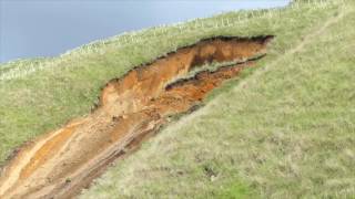 Spectacular Landslide at Papamoa Hills Regional Park in New Zealand [upl. by Anim712]