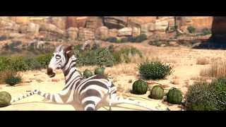 Khumba DVD Release  isiZulu soccer scene [upl. by Ranna426]