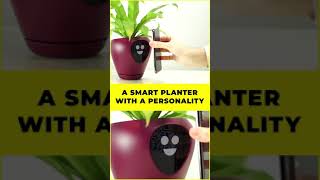 YOU WONT BELIEVE THESE Smart Planters  GiGadgets Shorts [upl. by Nilya668]