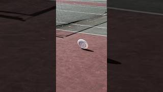 Frisbee Bowling Trick Shot shorts trickshots frisbee trickshot [upl. by Donelson910]