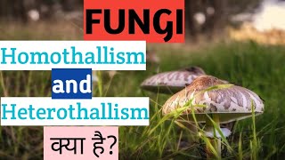 homothallism and heterothallism kya h in hindi [upl. by Tutto995]