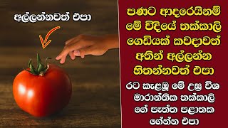 ඔබ මේවා දකින්නේ ජිවිතේ පළමු වතාවට EP414 [upl. by Callum]