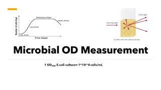 Microbial OD600 Measurement  Optical Density Measurement Principle and Method [upl. by Ener]