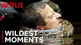 Bear’s WILDest Moments 🤯 Animals on the Loose A You vs Wild Movie  Netflix After School [upl. by Hamimej]