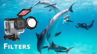 All About GoPro Filters Underwater [upl. by Ardrey825]