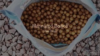 HOW TO GLUG BOILIES  CARP FISHING [upl. by Bensen976]