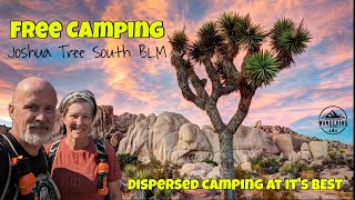 Free Camping Joshua Tree National Park Review of Dispersed Camping on BLM Land Joshua Tree South [upl. by Oenire]