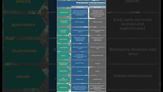 Defference between Protostomes and Deuterostomes ।। Biology ।। Zoology।। [upl. by Etnoj]